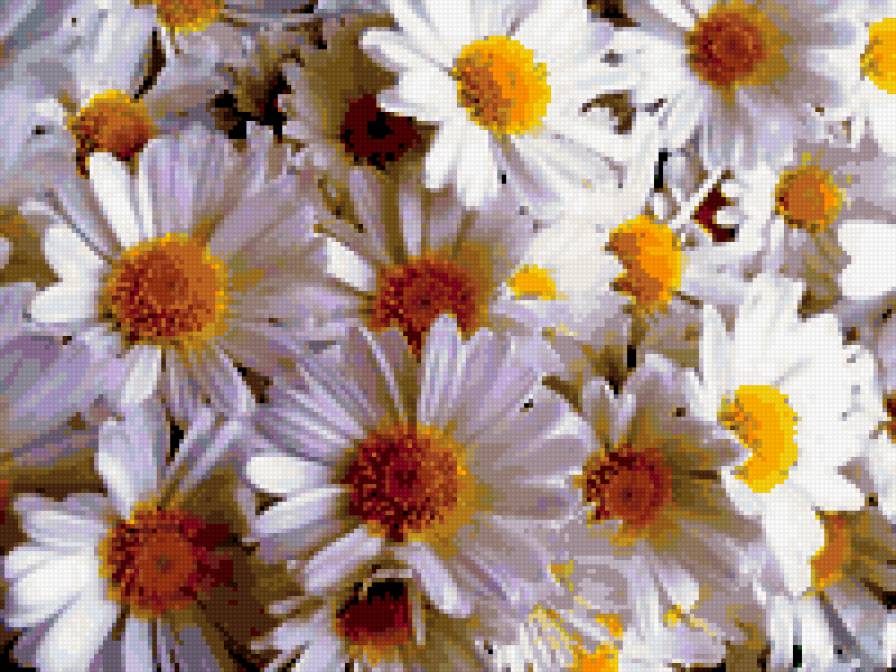 №302667 - предпросмотр