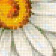 Предпросмотр схемы вышивки «ромашки» (№302677)