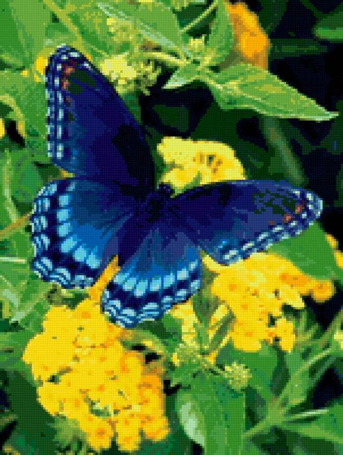 №302701 - предпросмотр