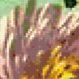 Предпросмотр схемы вышивки «хризантема» (№302735)