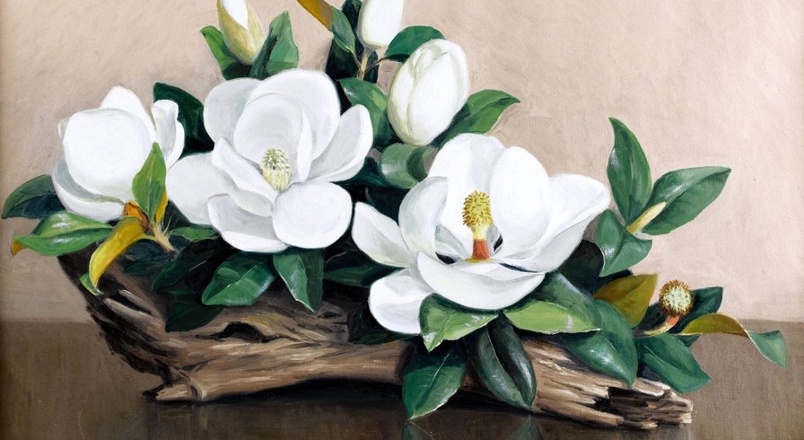 магнолия - оригинал