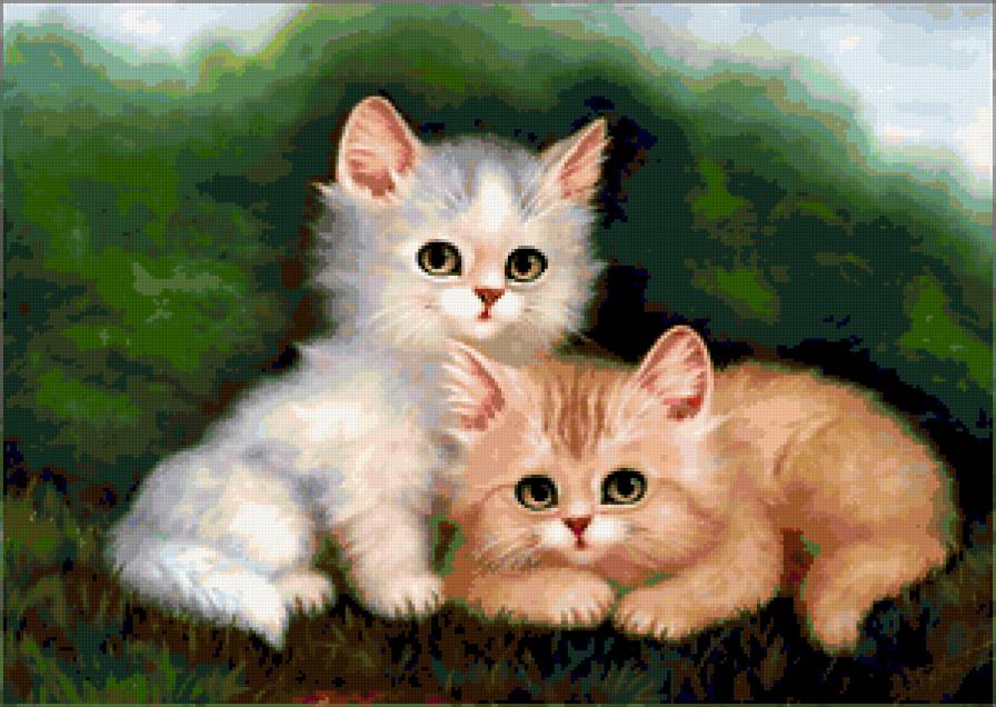 котята на траве - предпросмотр