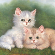 котята на траве