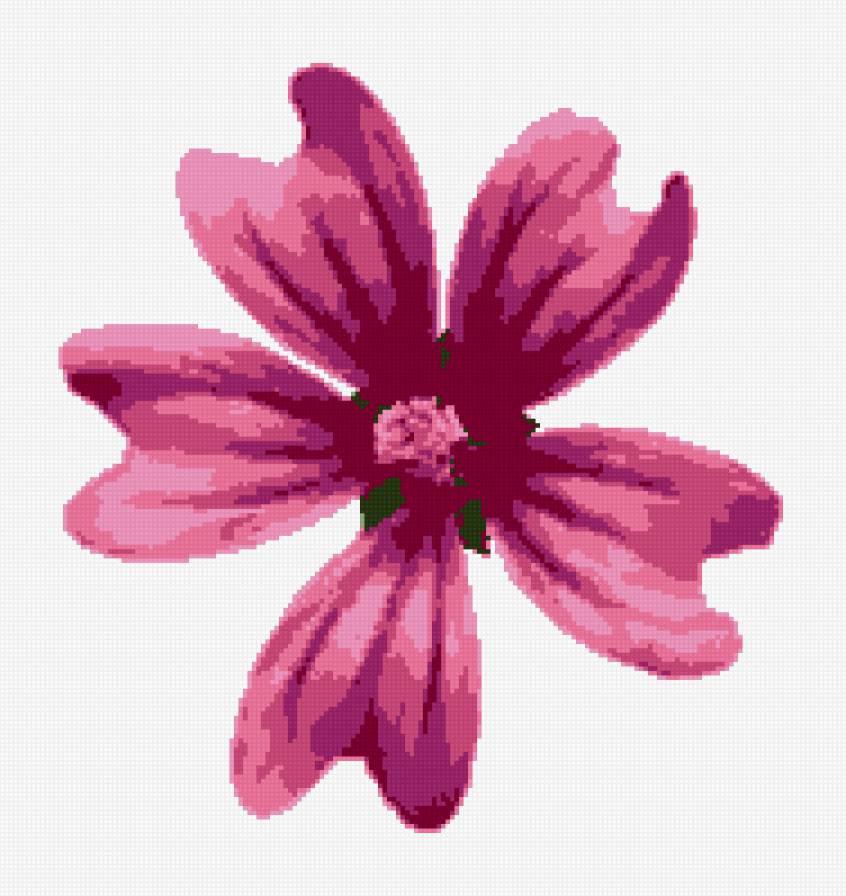 цветок - цветок - предпросмотр