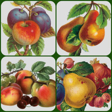 Оригинал схемы вышивки «фруктовый аромат» (№302913)