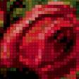 Предпросмотр схемы вышивки «алые» (№302995)