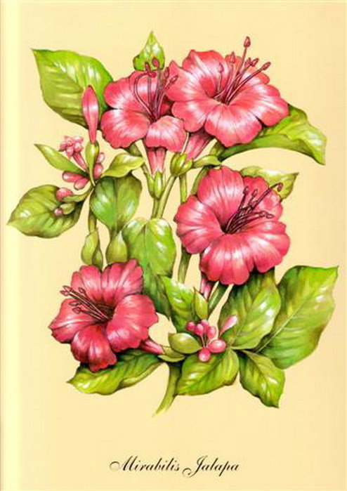 красота - букет, цветы - оригинал