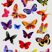 Оригинал схемы вышивки «бабочки» (№303048)