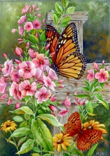 Флокс с бабочками - бабочки, букет, цветы - оригинал