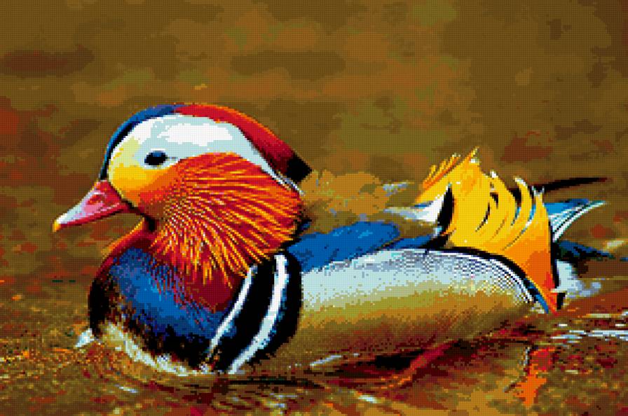 красавица - птицы - предпросмотр