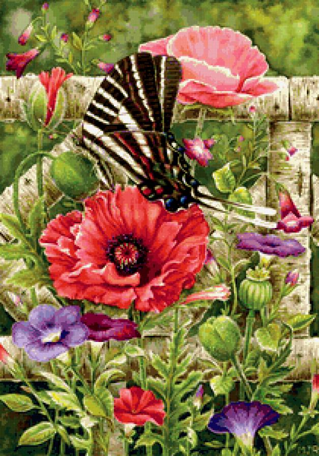 натюрморт - бабочки, цветы, букет, первоцвет, маки - предпросмотр