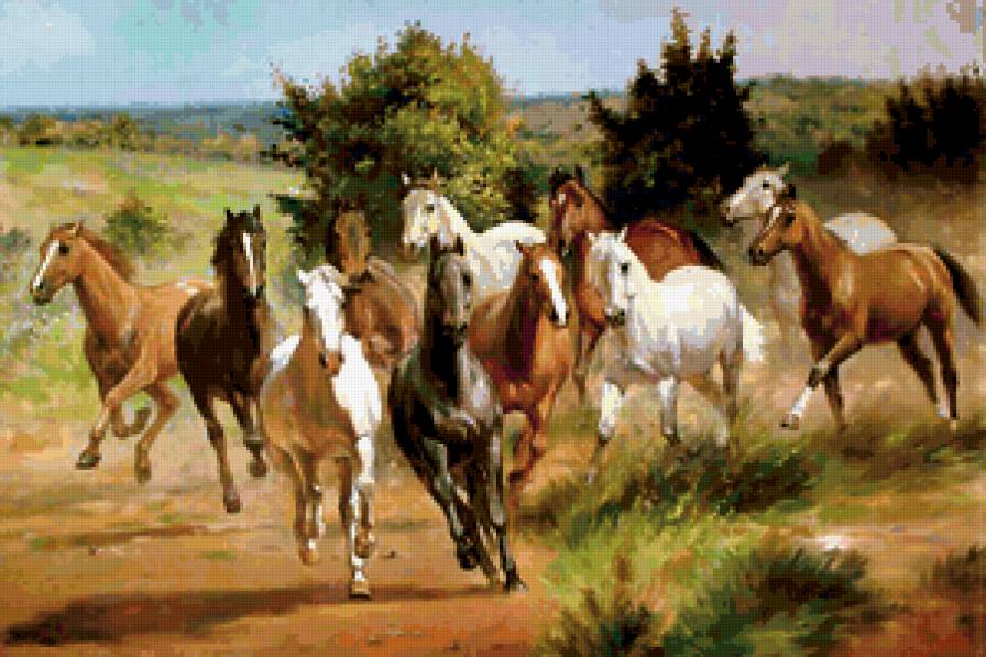 Табун лошадей - животные, лошади - предпросмотр