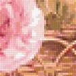 Предпросмотр схемы вышивки «розы 456» (№303134)