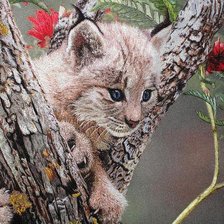 Схема вышивки «№303164»