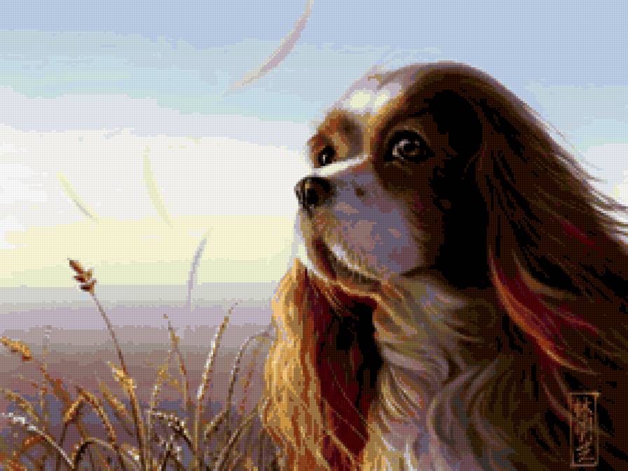 собаки 1 - собака - предпросмотр