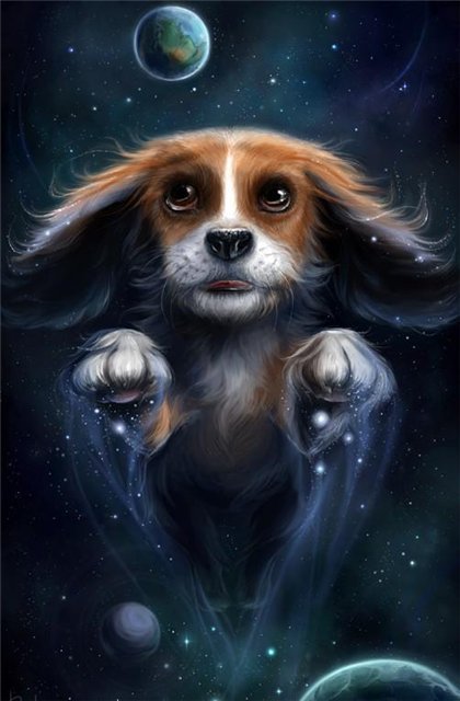 космическая собака - собака - оригинал