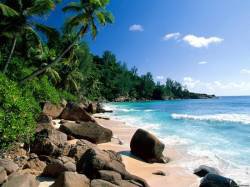 лагуна - оригинал