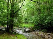 Схема вышивки «№303311»