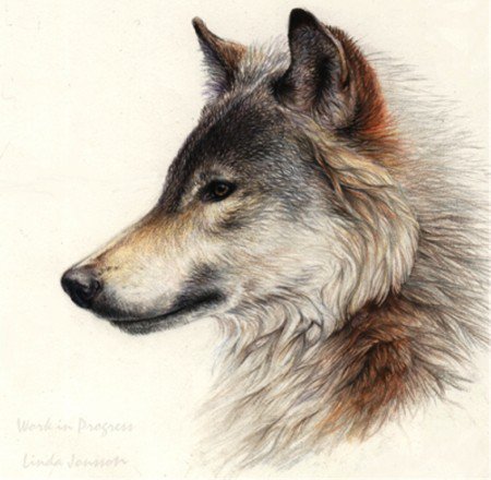 №303334 - оригинал