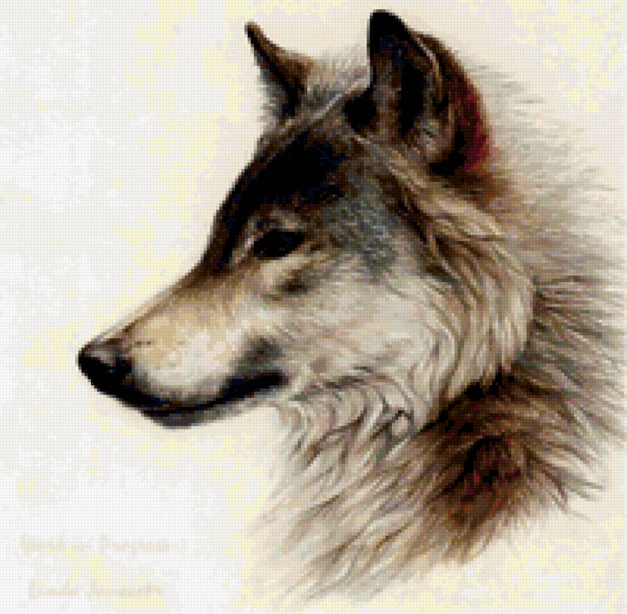 №303334 - предпросмотр