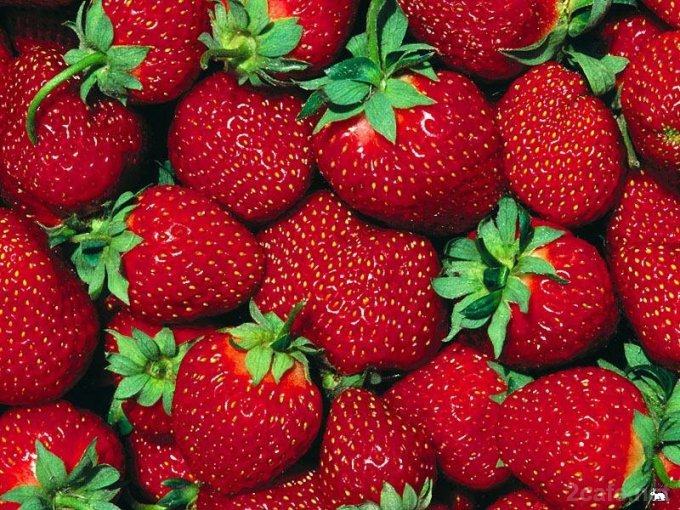ягоды - дары природы, клубника, лето - оригинал