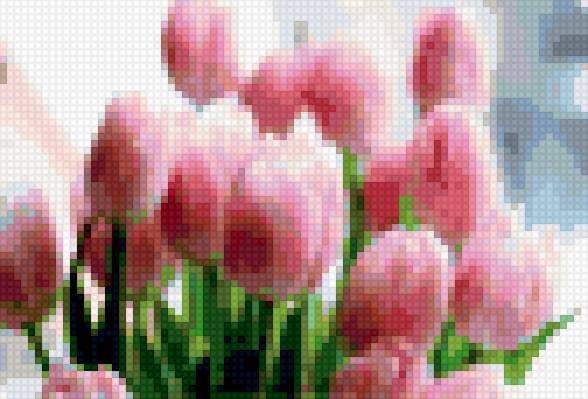 тюльп - предпросмотр