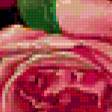 Предпросмотр схемы вышивки «розы» (№303800)