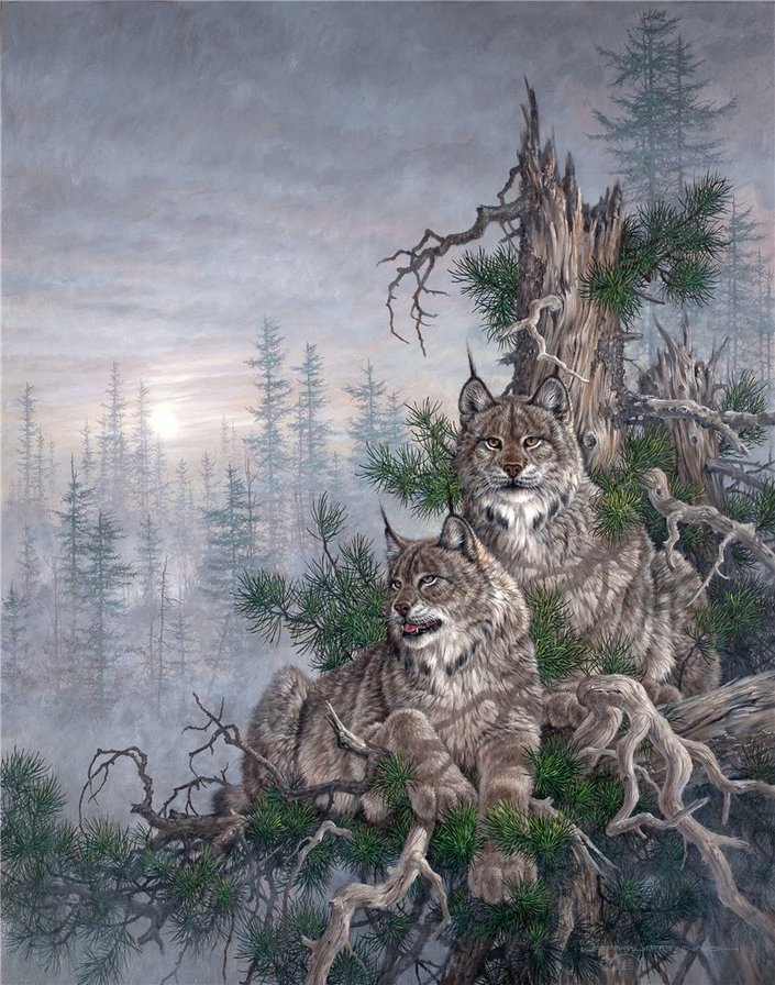 №303867 - оригинал