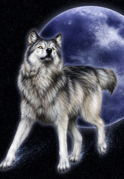 волк - волки, зверь, животное, волк, хищник - оригинал