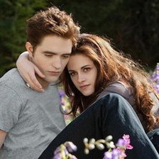 Схема вышивки «белла и эдвард»