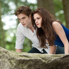 Схема вышивки «Белла на охоте»