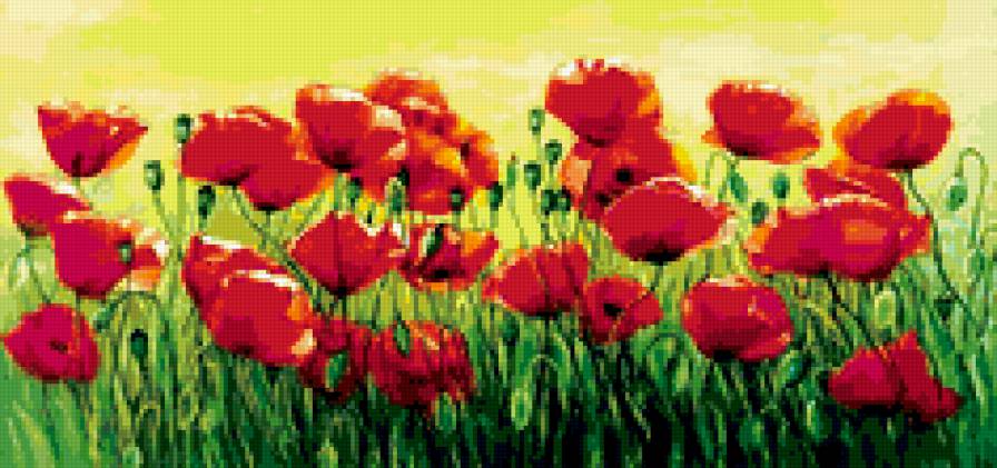 №303956 - цветы, маки - предпросмотр