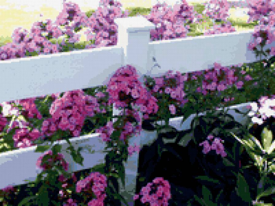 7545464 - предпросмотр