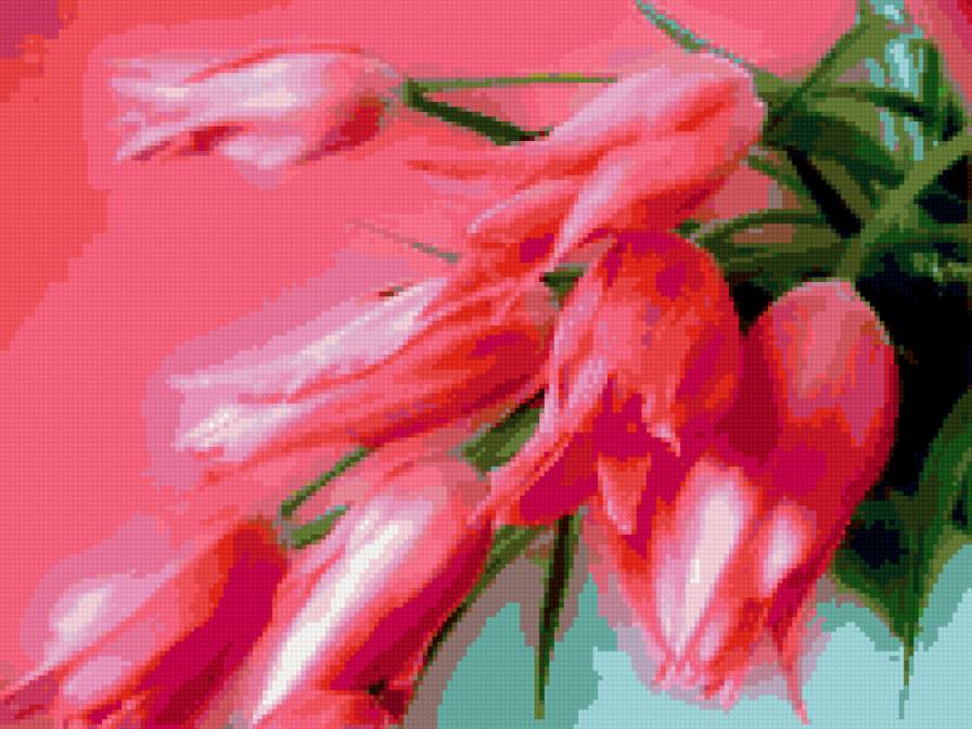 тюльпаны - предпросмотр