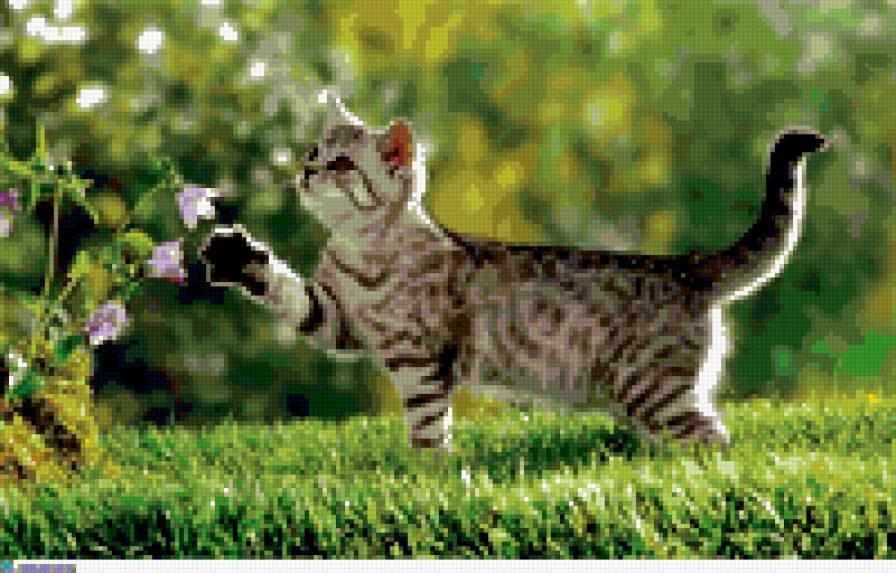 №304021 - предпросмотр