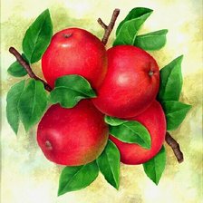 Оригинал схемы вышивки «яблочки» (№304212)