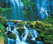 Схема вышивки «№304270»