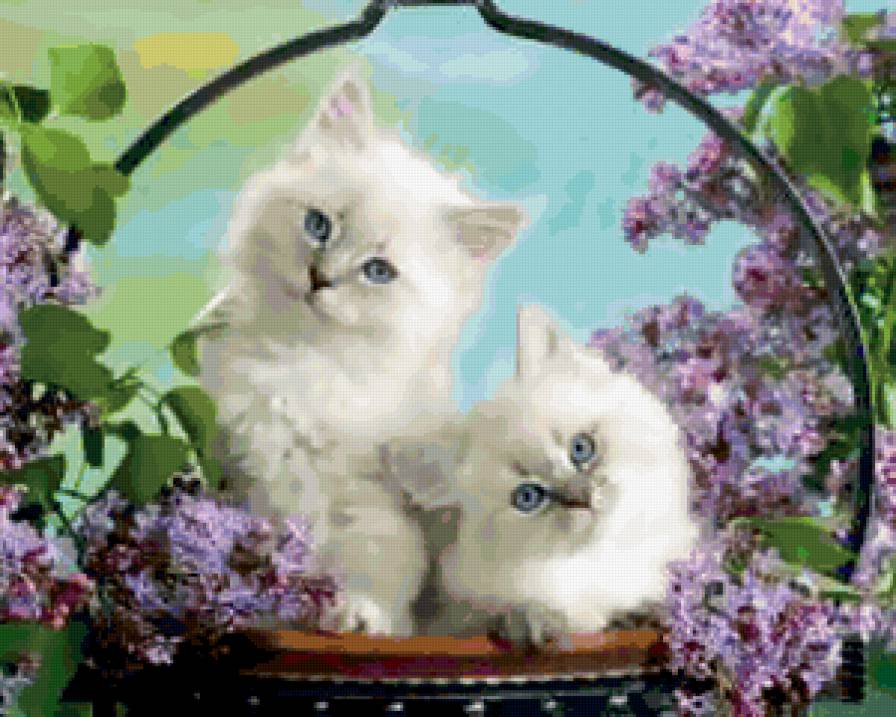 №304274 - предпросмотр