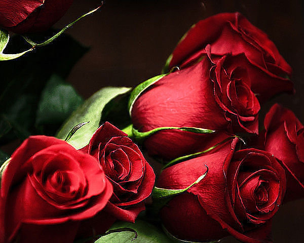 №304345 - оригинал