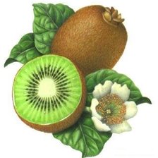 Схема вышивки «киви»