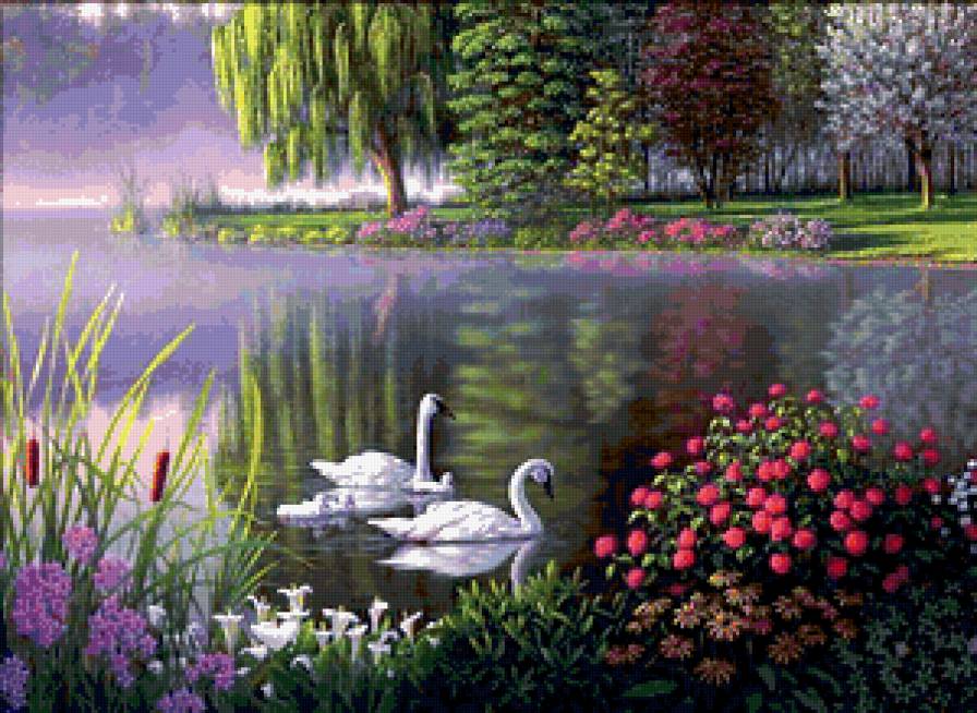 Пара лебедей - природа, пара, птицы, пейзаж, озеро, лебеди - предпросмотр