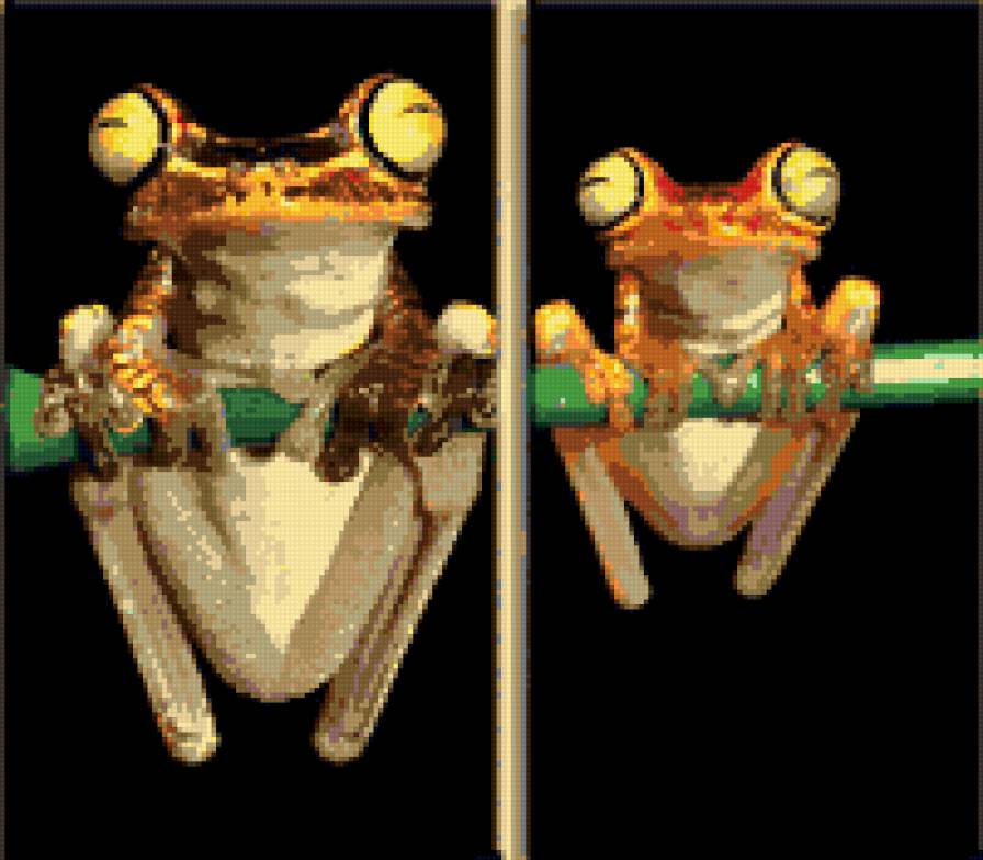 Диптих Две лягухи - предпросмотр