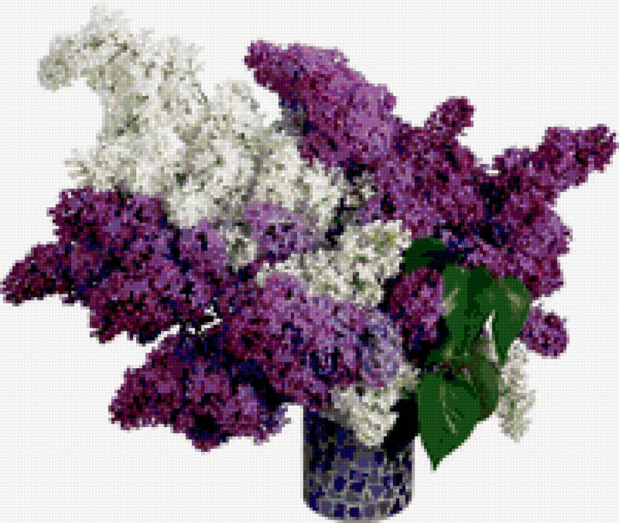 БУКЕТ СИРЕНИ - букеты, цветы - предпросмотр