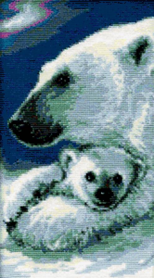 мишки - животные - предпросмотр