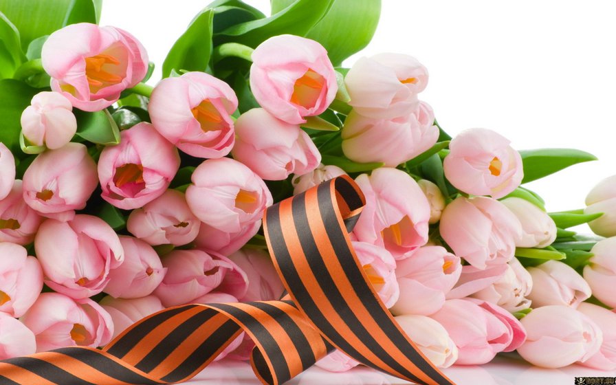 тюльпаны - букеты, цветы - оригинал