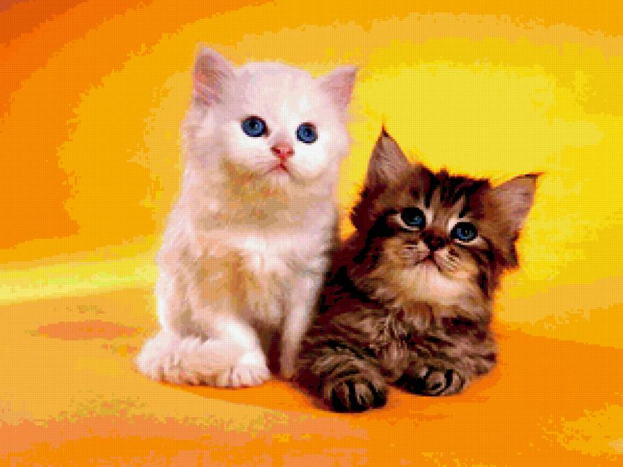 №304486 - предпросмотр