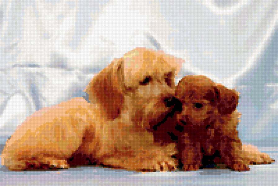 СОБАЧКИ - домашние животные - предпросмотр