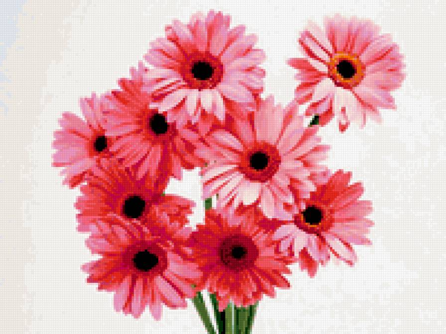 Цветочки - цветы - предпросмотр