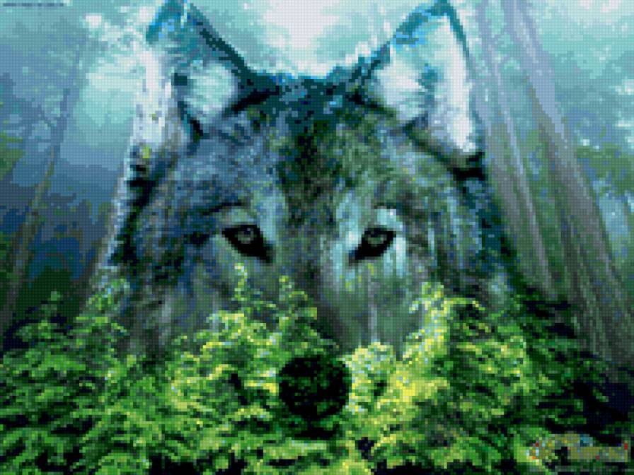 волк - предпросмотр