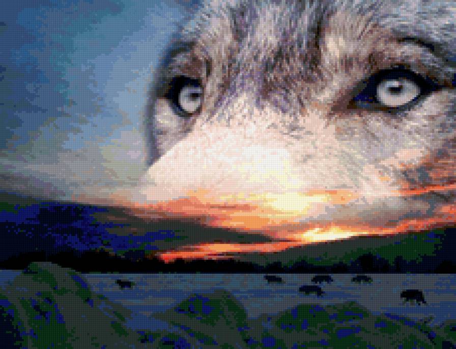 закат волка - предпросмотр